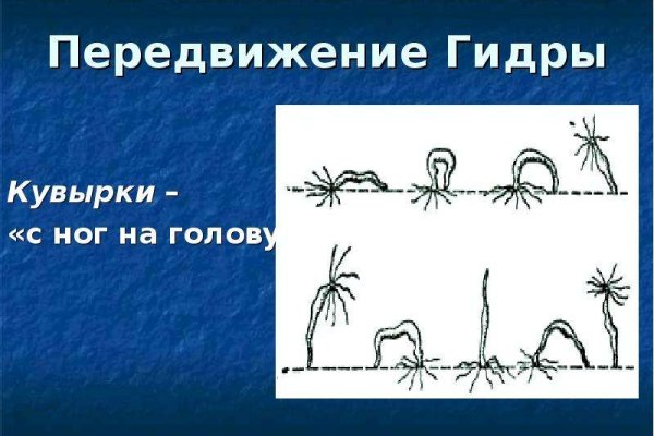 Kraken актуальные зеркала krakentor site
