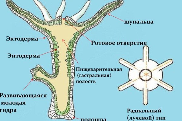 Где купить наркотиков