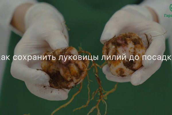 Кракен маркетплейс kr2connect co