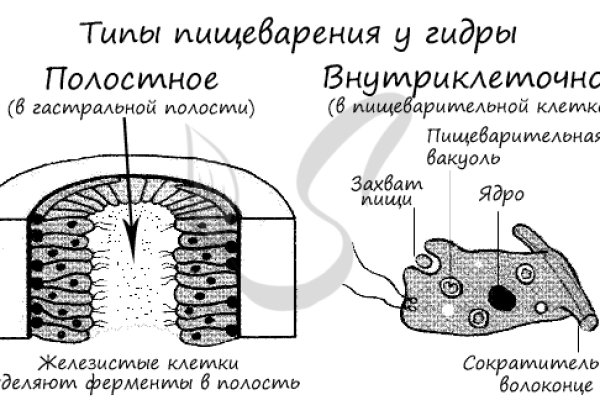 Kraken сайт tor