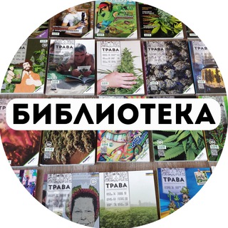 Как зайти на кракен через тор