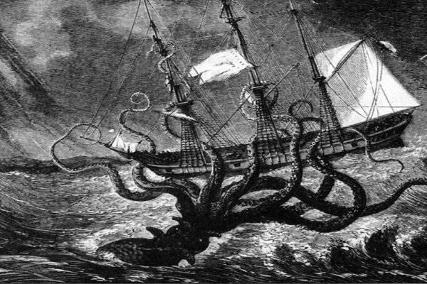 Kraken 12g