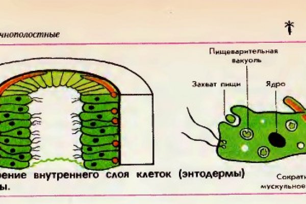 Аналог гидры