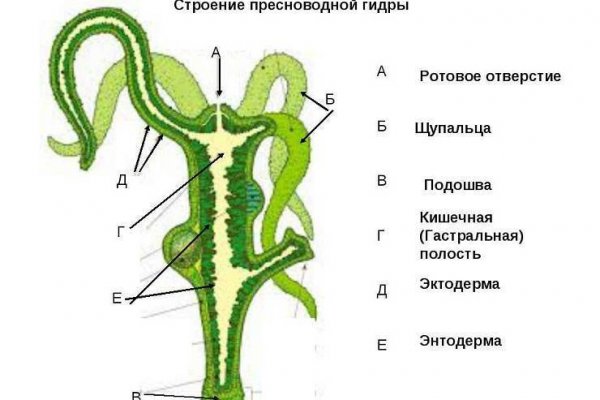 Кракен почему не заходит