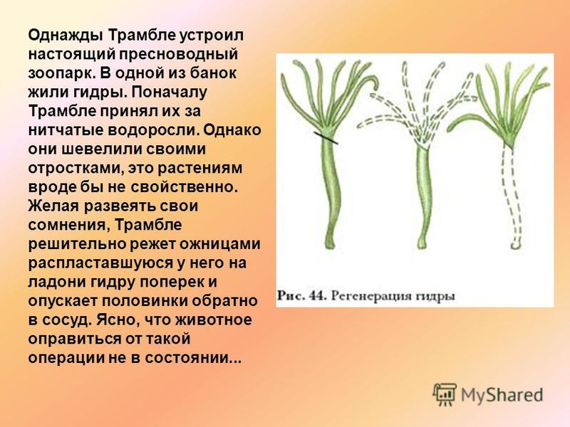 Кракен маркетплейс ассортимент