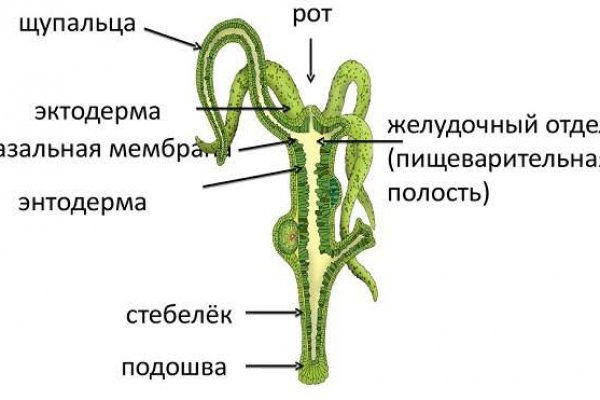 Кракен kr2web in